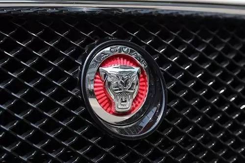 車標上的動物都是啥來頭？看完又能出去裝X了