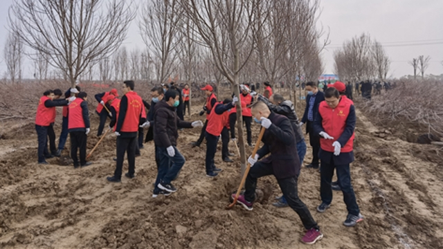 栽下樹苗，留下新綠